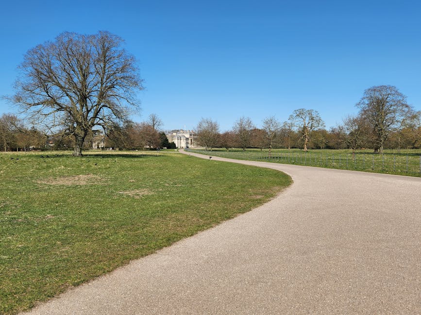 A wide, open park scene with a paved pathway curving through a grassy area on a bright, sunny day. Several leafless trees, including a prominent large one on the left, line the pathway, with more smaller trees scattered across the background. In the distance, a historic building or monument is partially visible, surrounded by additional trees. The sky is clear and blue, and the scene reflects a peaceful outdoor environment typical of a public park like Cassiobury in Watford. Although no furniture or moving equipment are visible in this image, the setting provides context for a nearby home relocation or furniture transport service, such as those offered by Watford Man and Van, in relation to house removals and packing activities.